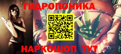 гидропоника Аша