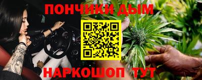 гидропоника Аша